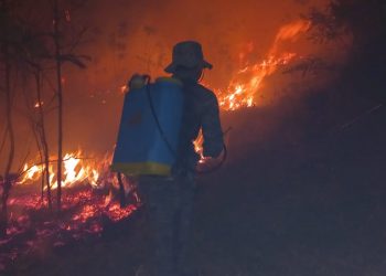 Ejército de Guatemala sofocó tres incendios forestales en Petén y Quetzaltenango