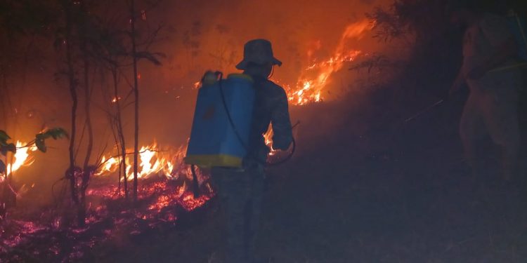 Ejército de Guatemala sofocó tres incendios forestales en Petén y Quetzaltenango
