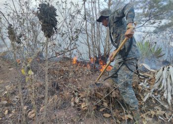Ejército de Guatemala apoyó combate de incendios forestales en cinco departamentos del país