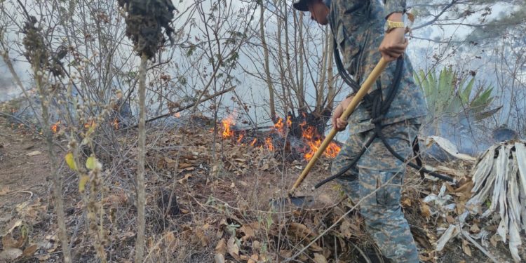 Ejército de Guatemala apoyó combate de incendios forestales en cinco departamentos del país