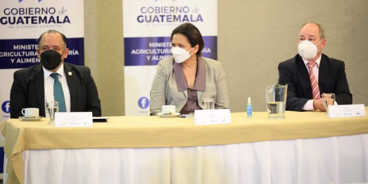 MAGA fortalece proyecto para producir alimentos sanos e inocuos