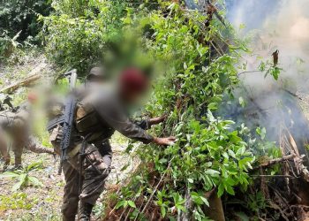 Ejército de Guatemala realiza operaciones de reconocimiento, búsqueda y rastreo de ilícitos al norte de la República.