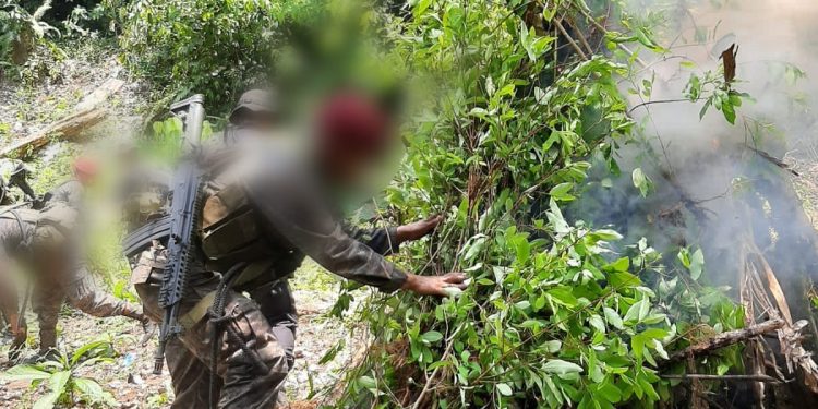 Ejército de Guatemala realiza operaciones de reconocimiento, búsqueda y rastreo de ilícitos al norte de la República.