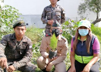Ejército de Guatemala realiza jornadas de reforestación