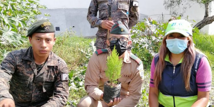 Ejército de Guatemala realiza jornadas de reforestación