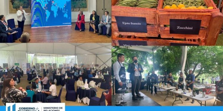 Minex propicia cierre de negocios con compradores extranjeros en Agritrade 2022