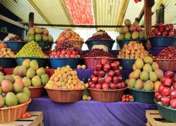 El MAGA impulsa la fruticultura guatemalteca