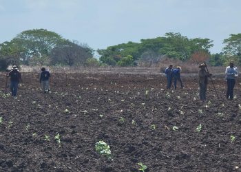 Impulsan el desarrollo agropecuario en Retalhuleu