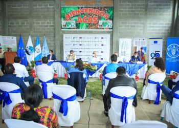 Proyectos productivos para San Marcos y Huehuetenango