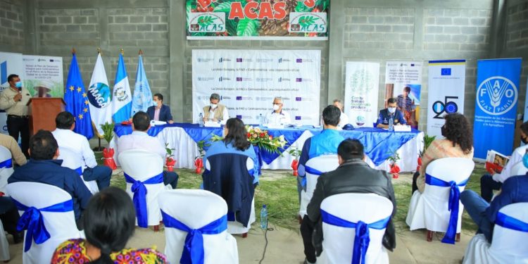 Proyectos productivos para San Marcos y Huehuetenango