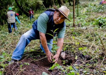 Más árboles plantados en el astillero municipal de Patzicía
