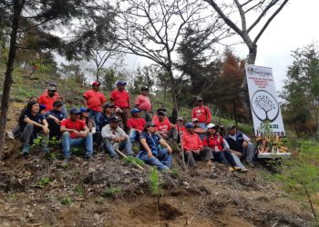 Niños y adultos participan en reforestación de Pastores, Sacatepéquez