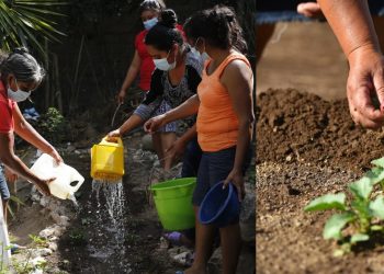 Sesan participa en reunión del Comité Directivo de Pro-Resiliencia