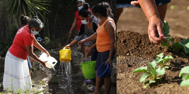 Sesan participa en reunión del Comité Directivo de Pro-Resiliencia
