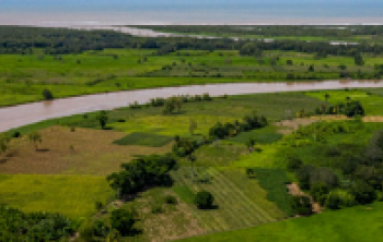 Alianzas estratégicas para la atención del río Motagua