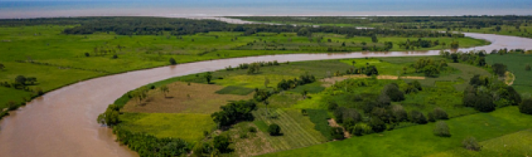 Alianzas estratégicas para la atención del río Motagua