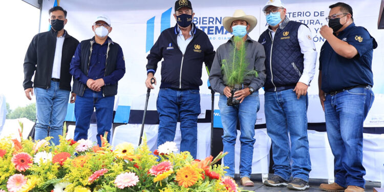 MAGA impulsa protección de cuencas hidrográficas y suelos agrícolas
