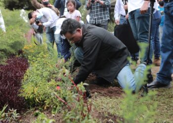 Plan de reforestación 2022 permitirá restaurar zonas degradadas en todo el país