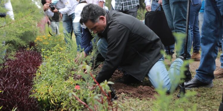 Plan de reforestación 2022 permitirá restaurar zonas degradadas en todo el país