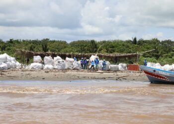 Alianza del MARN con 4Ocean es clave para la recuperación ambiental de Izabal