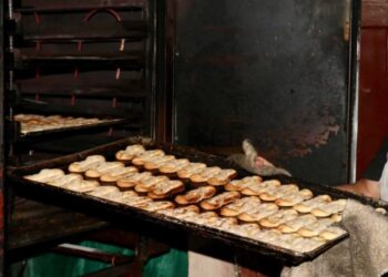 Reos aprenden oficios en Granja Modelo de Rehabilitación Pavón