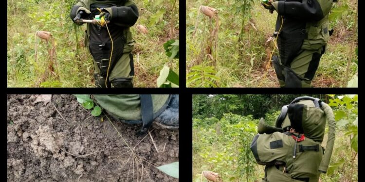 Expertos en explosivos han incautado 114 armas de fuego y municiones