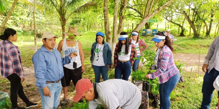 Reforestan ribera del río San Juan en El Chal, Petén