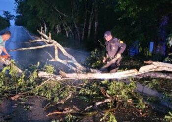 PNC brinda su apoyo en carreteras bloqueadas por la lluvia