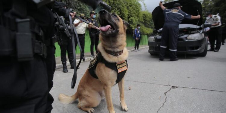 Autoridades supervisan operativos y procesos de formación en la PNC