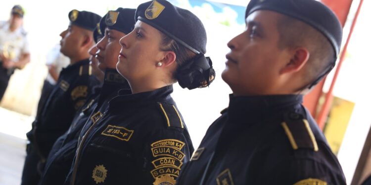 Antinarcóticos traslada últimos furgones con 50 toneladas de precursores para drogas