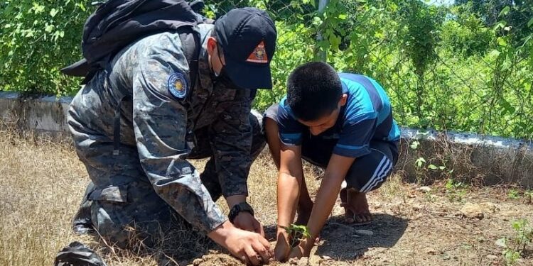 Ejército de Guatemala reforesta diversas regiones.