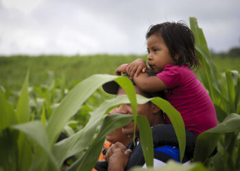 Sesan aborda importancia de continuidad de políticas públicas en seguridad alimentaria y nutricional