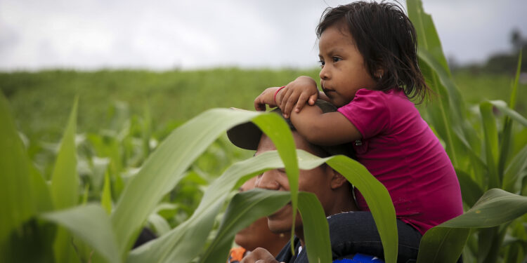 Sesan aborda importancia de continuidad de políticas públicas en seguridad alimentaria y nutricional
