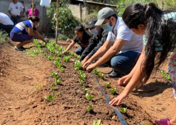 Sesan coordina acciones interinstitucionales e intersectoriales en respuesta al Hambre Estacional