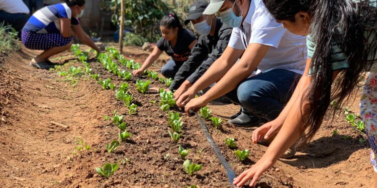 Sesan coordina acciones interinstitucionales e intersectoriales en respuesta al Hambre Estacional