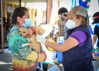 Sacatepéquez realizó jornada masiva de vacunación contra la rabia