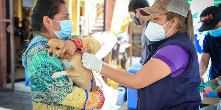 Sacatepéquez realizó jornada masiva de vacunación contra la rabia