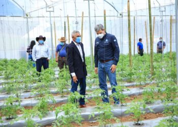 Impulsan tecnificación y buenas prácticas agrícolas en San José Pinula