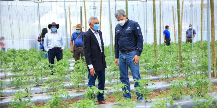 Impulsan tecnificación y buenas prácticas agrícolas en San José Pinula
