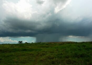 Prevén invierno más copioso para el próximo trimestre