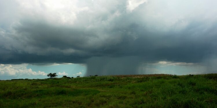 Prevén invierno más copioso para el próximo trimestre