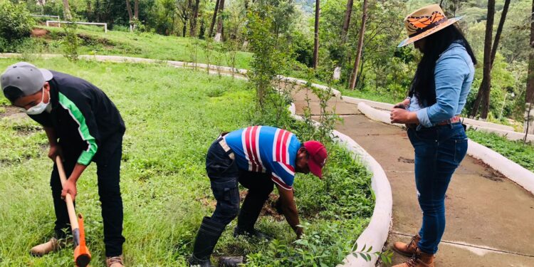 La sostenibilidad ambiental es parte de Huehuetenango