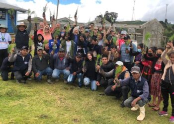 Alianzas en Patzún permiten avanzar en la reforestación