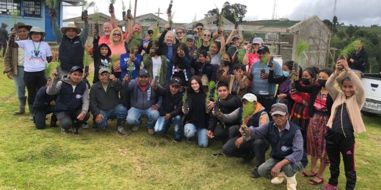 Alianzas en Patzún permiten avanzar en la reforestación