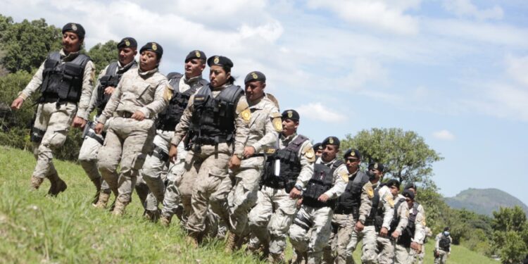 Concluye con éxito el programa “Más bosques, más vida”