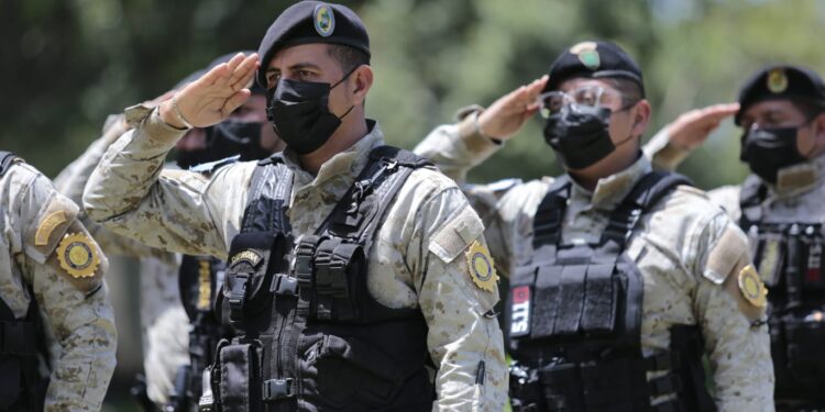 Concluye con éxito el programa “Más bosques, más vida”