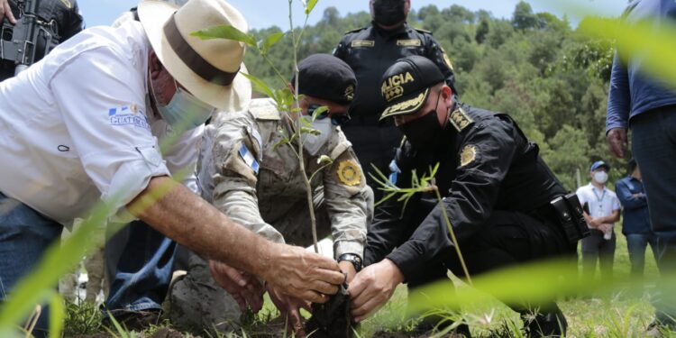 Concluye con éxito el programa “Más bosques, más vida”