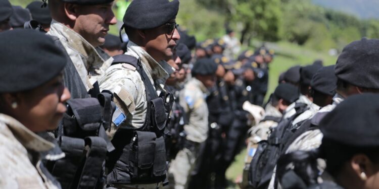 Concluye con éxito el programa “Más bosques, más vida”