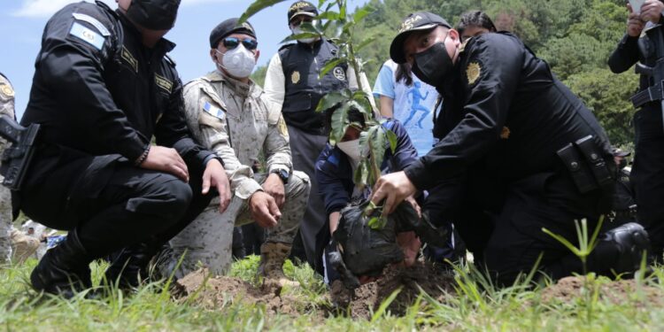 Concluye con éxito el programa “Más bosques, más vida”