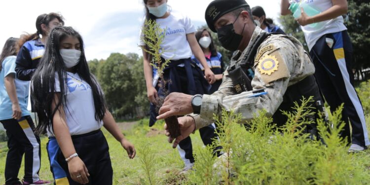 Concluye con éxito el programa “Más bosques, más vida”